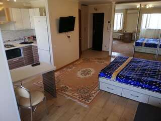 Апартаменты Квартира в центре города Херсон Апартаменты-студио-18